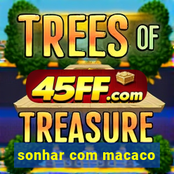 sonhar com macaco